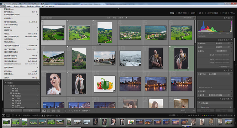 lightroom,lightroom教程下载，lightroom教程